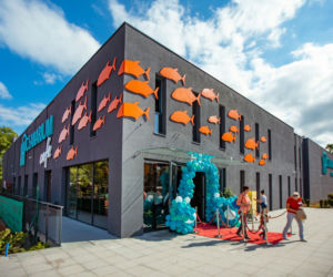Kasprzyk, Kurowska i Kaliszuk w Oceanarium