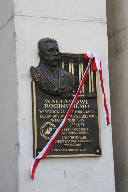 Dbają o lasy od 100 lat. Zobacz zdjęcia z jubileuszu siedleckich leśników