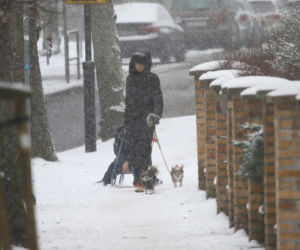 Marta Kaczyńska z synem i psami na sankach w lesie