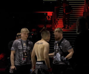 King's Arena2. Klatka i Lwy