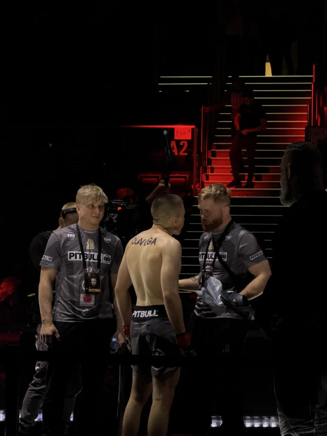 King's Arena2. Klatka i Lwy