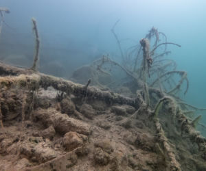 Podwodny świat Balatonu w Trzebini