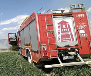 Strażacy uratowali z pożaru dwie malutkie sarenki