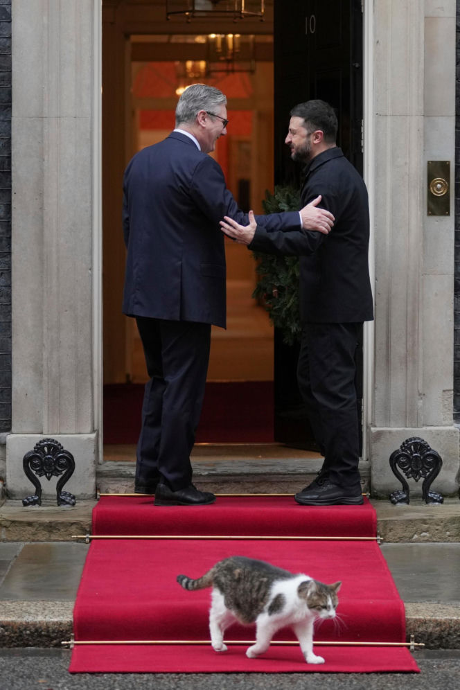 Oto Larry. Chief Mouser to the Gabinet Office