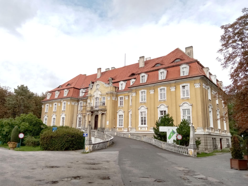 W tej wsi w woj. śląskim znajduje się jeden z najpiękniejszych pałaców. W PRL-u przekształcono go w sanatorium