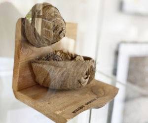 Zwierzęta i natura powiatu iławskiego zawitały do iławskiej Biblioteki Miejskiej