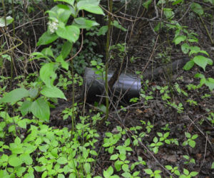 Łaziska. Tornado GŁUPOTY na ścieżkach zdrowia! Wandale wszystko zniszczyli