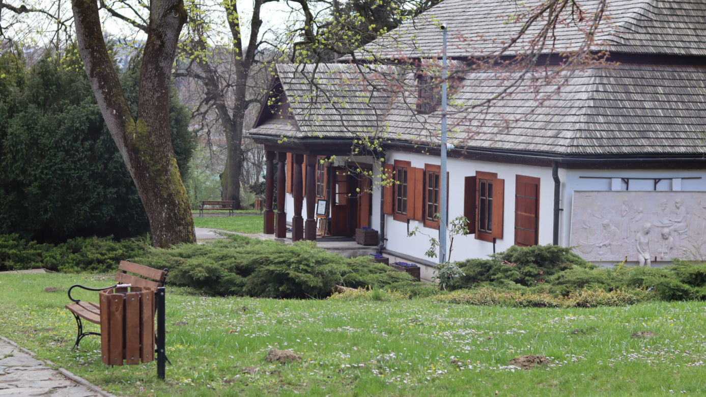 Ogród Botaniczny w Lublinie otwarty! Wszędzie widać wiosnę
