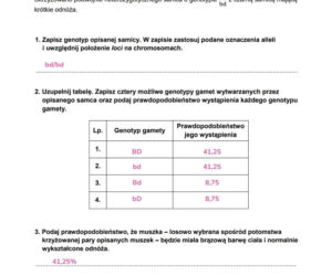Matura 2026 z biologii ROZSZERZONEJ: odpowiedzi do wszystkich zadań z arkusza CKE 8.05.2026