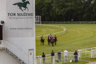 Przykry finał wyścigu na Służewcu. Koń uśpiony po kontuzji, prokuratura wszczyna śledztwo!