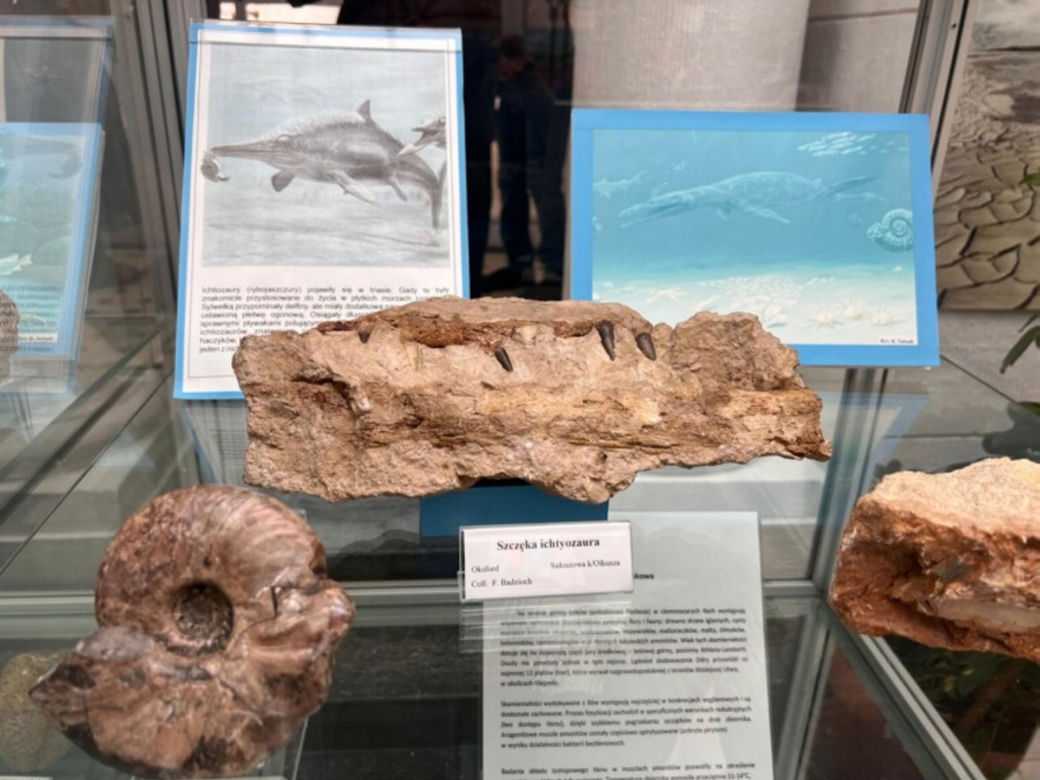 Mineral Expo w Pałacu Kultury ze szkieletem ichtiozaura