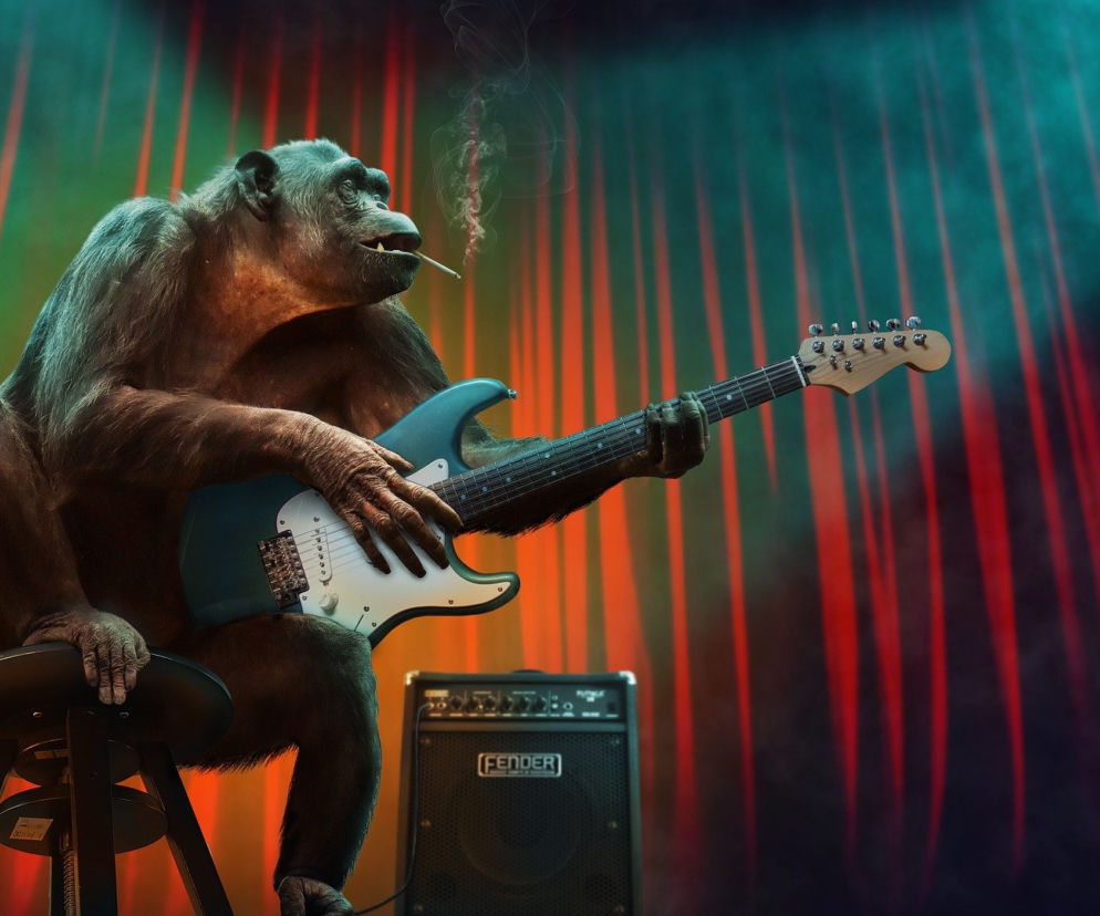 Monkey Concert