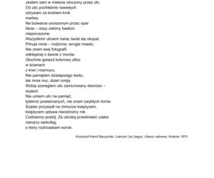 Matura 2021 polski rozszerzony, odpowiedzi, arkusze CKE, pytania, zadania, język polski poziom rozszerzony [10 maja 2021]