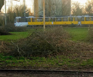 Torowa rewolucja: wycinka drzew na pętli Pomorzany i likwidacja działek