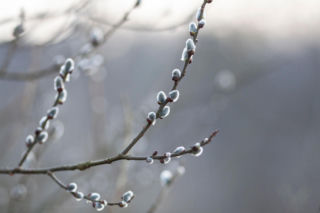 Marzec chłodniejszy niż zwykle. IMGW: w większości kraju temperatura poniżej normy 