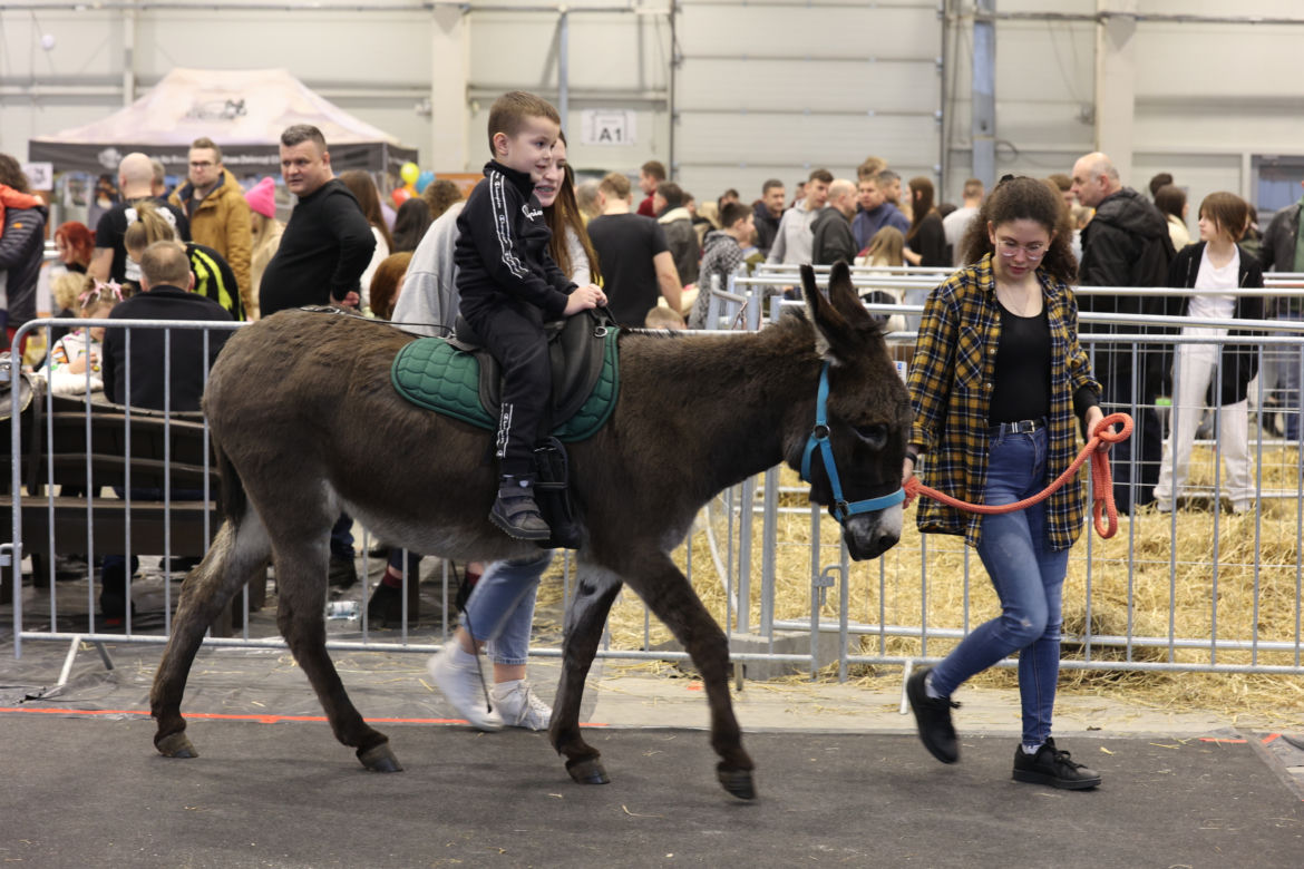 ZooPark 2023 w Lublinie przyciągnął tłumy!