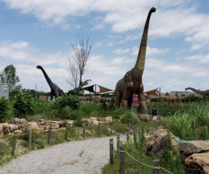 Piorun trafił prosto w dinozaura! Zobacz, co z niego zostało