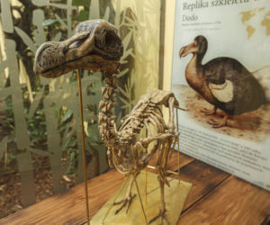 Zabytkowa ptaszarnia we wrocławskim zoo odzyskała dawny blask