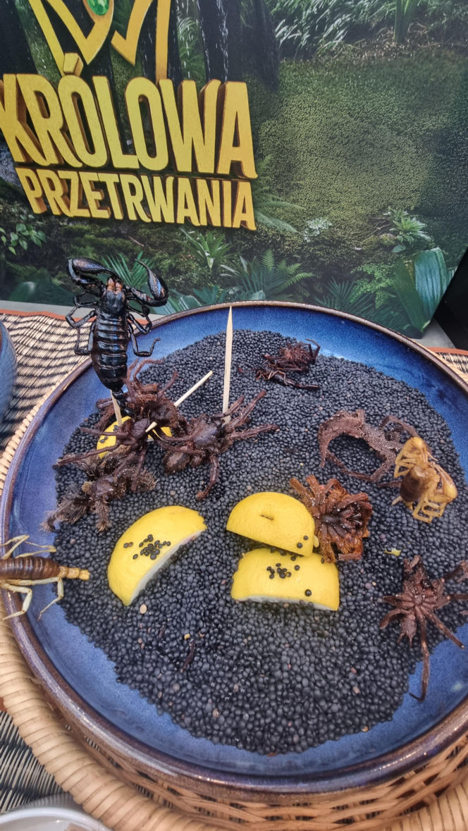 "Królowe przetrwania" reagują na pierwszy odcinek. Śmiech, łzy i marsowe miny