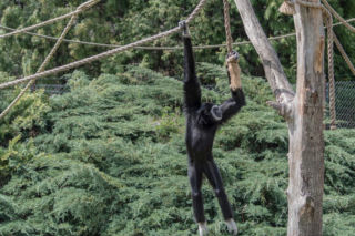 Najlepsze ogrody zoologiczne w Polsce [ZDJĘCIA]