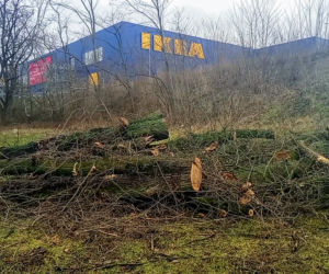 Ulica rozkopana, drzewa wycięte, kierowcy narzekają. Co z nowym dojazdem do sklepu IKEA w Szczecinie?