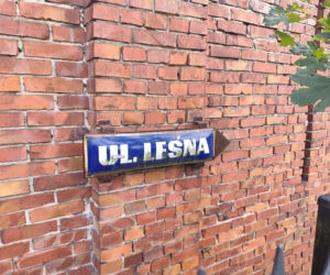 Zabójca z lasu schwytany? 19-latek wpadł pod domem ofiary