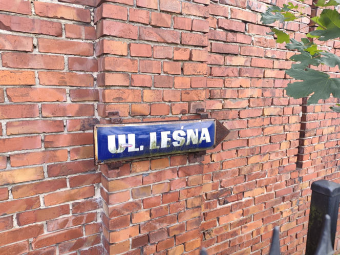 Zabójca z lasu schwytany? 19-latek wpadł pod domem ofiary