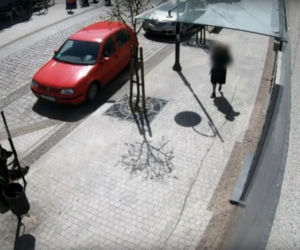 Przerażające sceny w Lęborku! Wielki pies zerwał się ze smyczy i zaatakował trzy osoby. 8-latka pogryziona [ZDJĘCIA].