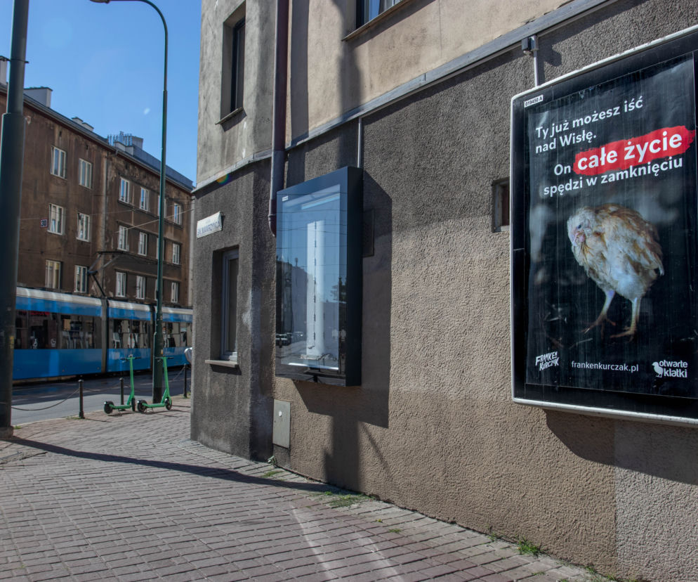 Otwarte Klatki