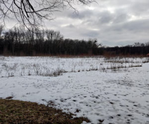 Przeżyła katastrofę hali MTK. Obok skonał jej mąż