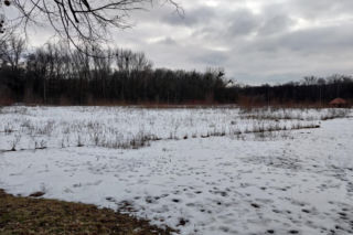 Przeżyła katastrofę hali MTK. Obok skonał jej mąż