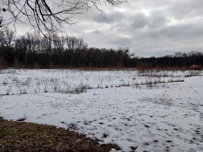 Przeżyła katastrofę hali MTK. Obok skonał jej mąż