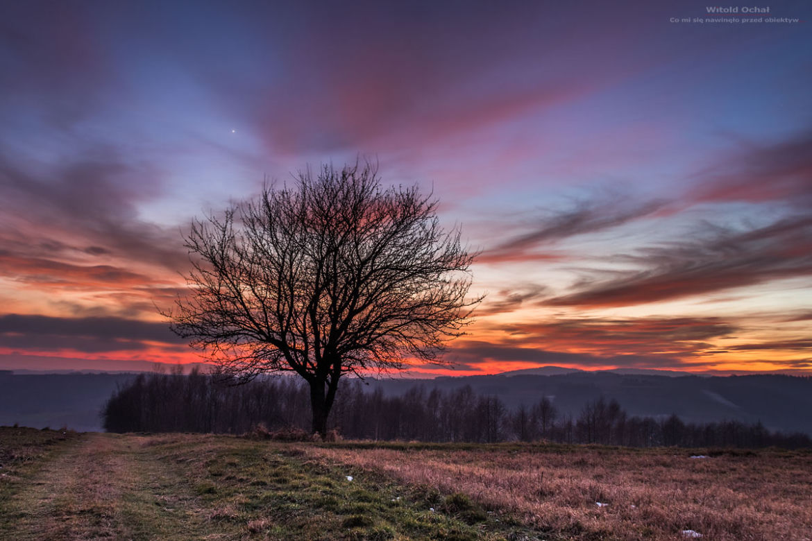 Witold Ochał - fotografie mieszkańca Podkarpacia wbijają w fotel! 
