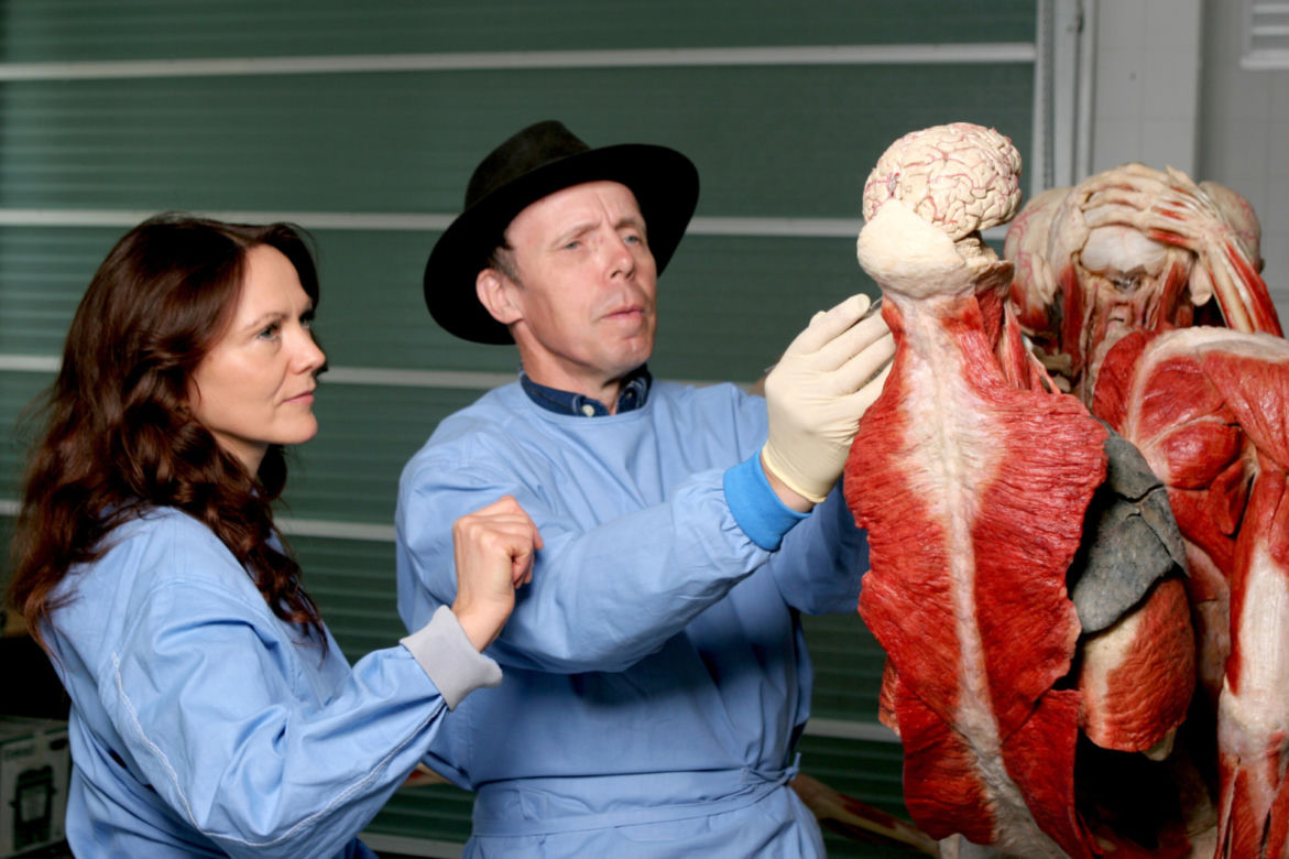 Body Worlds: Wystawa, której nigdy nie zapomnisz