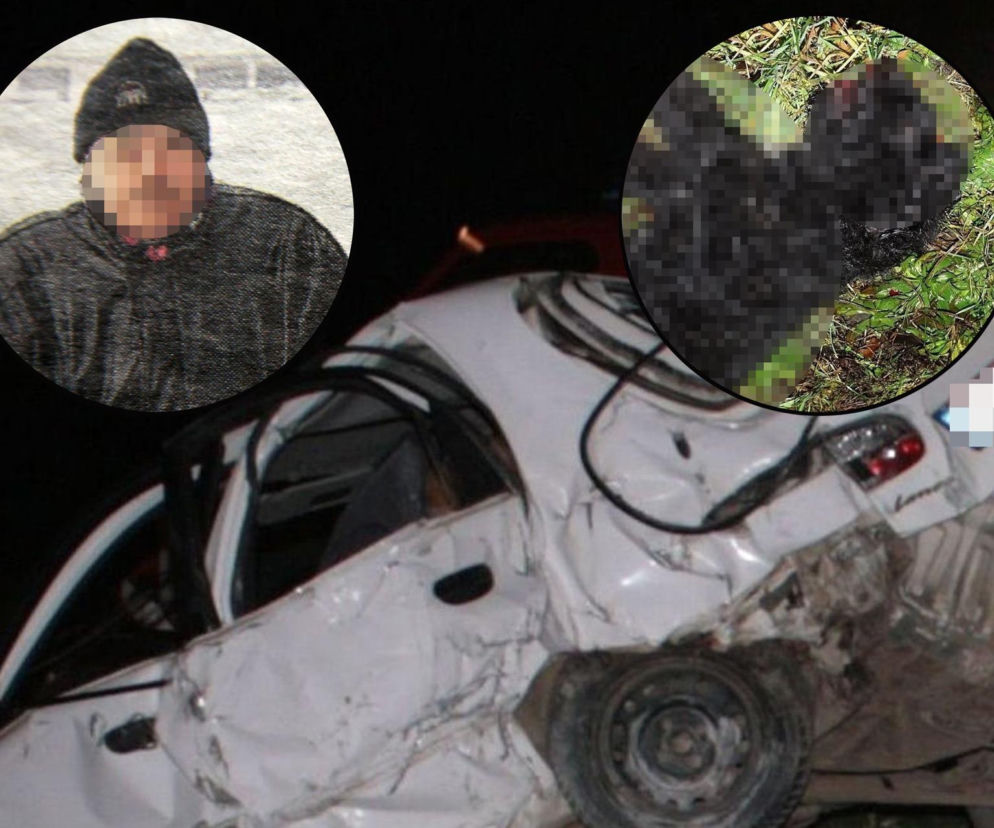 Nocna podróż do rodziny zakończona śmiercią. 68-latek zginął, ratując psa