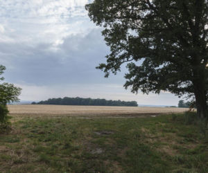 Mikołajowice. Mieszkamy na żyle złota