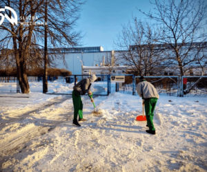Osadzeni odśnieżają miasto