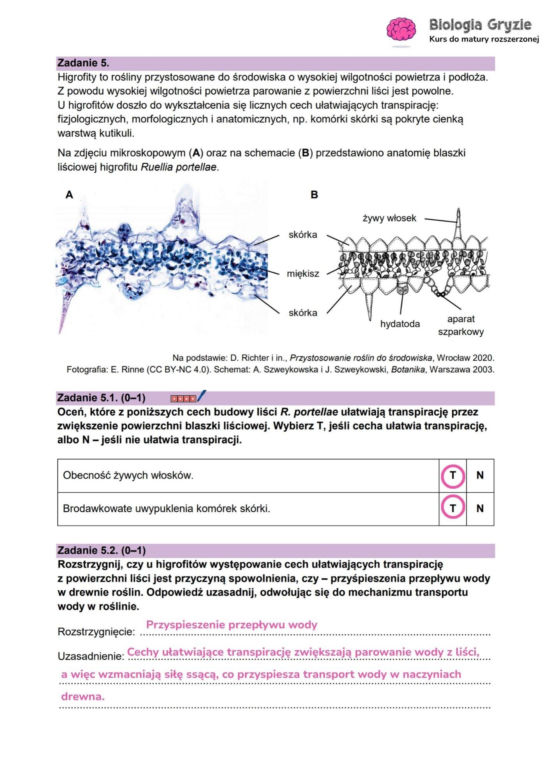 Matura 2026 biologia ROZSZERZONA: Arkusze CKE i odpowiedzi - sprawdź, czy zdałeś! 8.05.2026