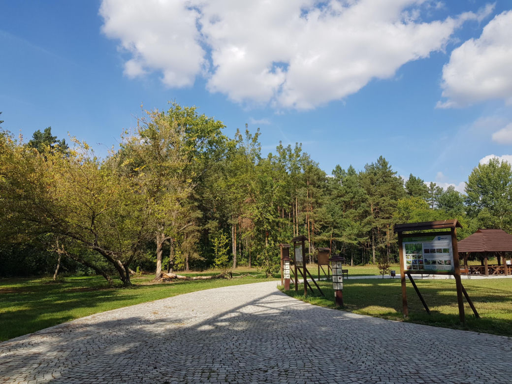 Wieża widokowa w Uhowie. To najwyższa wieża na Podlasiu [ZDJĘCIA]
