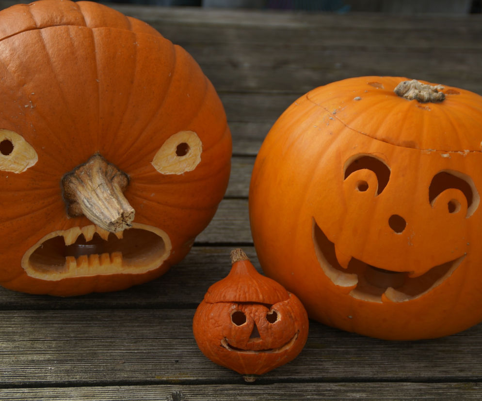 Halloween w stolicy. Przynieś swoją dynię do ZOO