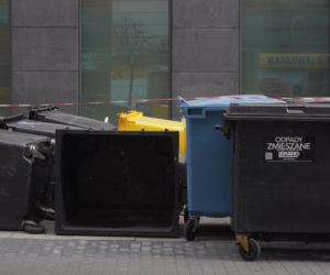 „Cały Grochów w szczurach!”. Mieszkańcy prawobrzeżnej Warszawy ponownie toną we własnych śmieciach