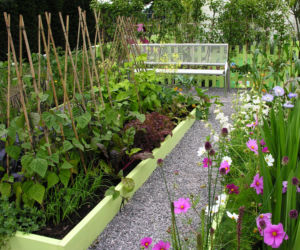 Jak założyć ekologiczny ogród warzywny? Radzi Katarzyna Bellingham, znana ogrodniczka 