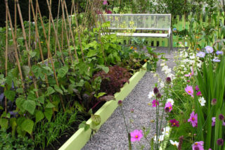 Jak założyć ekologiczny ogród warzywny? Radzi Katarzyna Bellingham, znana ogrodniczka 