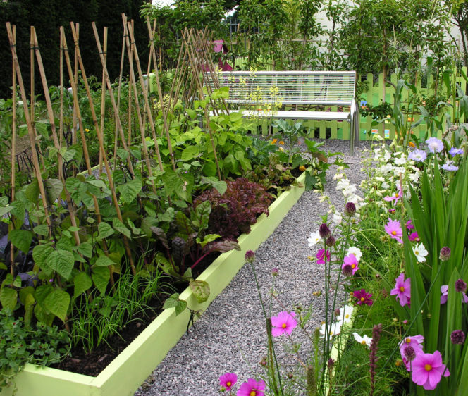 Warzywnik Katarzyna Bellingham