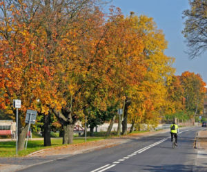 Malowniczy Wąchock zachwyca o każdej porze roku