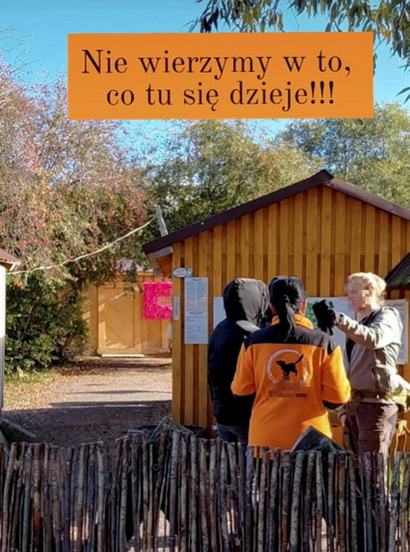 Prywatne zoo na Dolnym Śląsku pod lupą śledczych. Czy znęcano się tam nad zwierzętami?