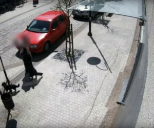 Przerażające sceny w Lęborku! Wielki pies zerwał się ze smyczy i zaatakował trzy osoby. 8-latka pogryziona [ZDJĘCIA].