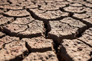 Dopłaty dla rolników na odbudowę gleby!