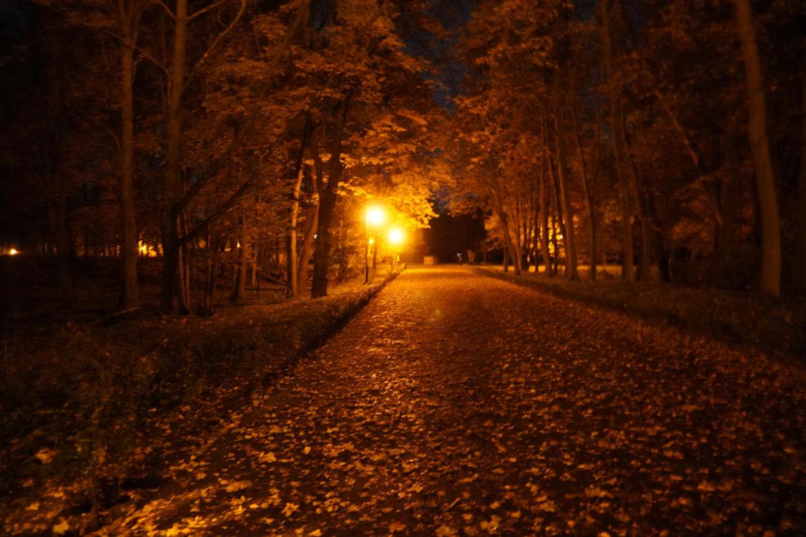 Poznańska Cytadela nocą