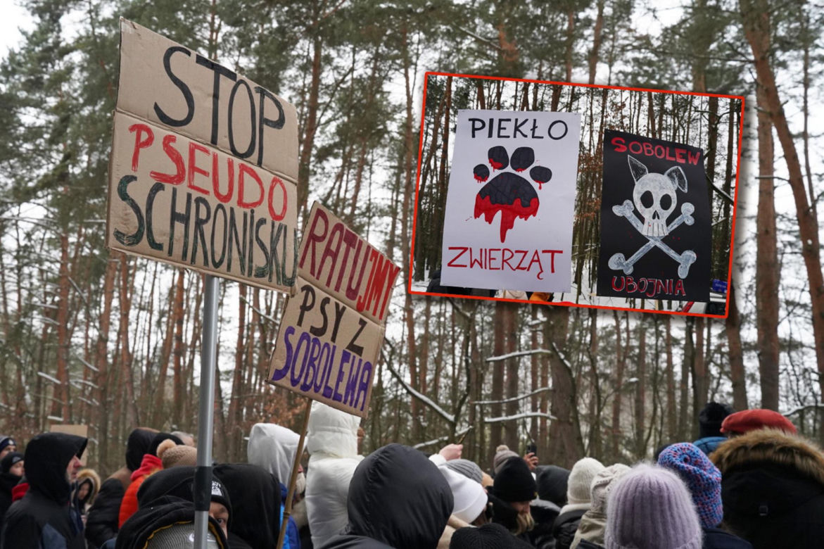 Schronisko dla psów w Sobolewie zamknięte. Jeszcze w sobotę, 24 stycznia, protestowali pod nim mieszkańcy [ZDJĘCIA].